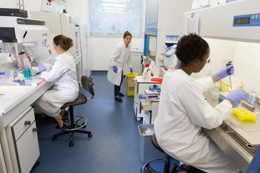 Le Laboratoire De Parasitologie | Institut Pasteur De Guyane